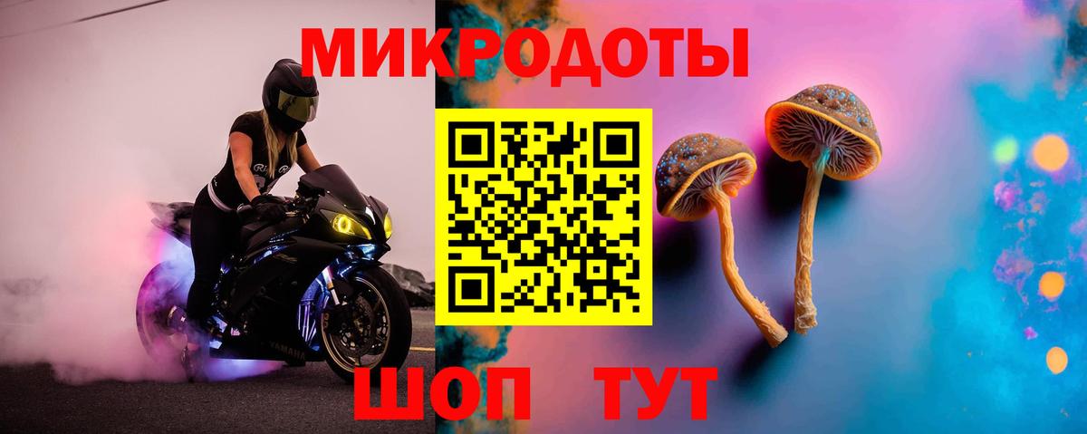 Галлюциногенные грибы GOLDEN TEACHER  Вход с VPN  Димитровград 